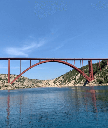 Untitled design (39) (1)