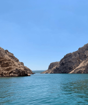 Untitled design (48) (1)