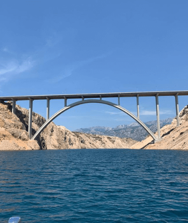 Untitled design (49) (1)