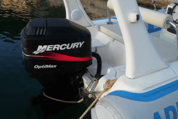 Untitled design (56) (1)